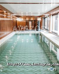 Avezor відгуки фото