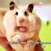 Немо Луцк фото