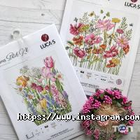 Мережка Львів фото