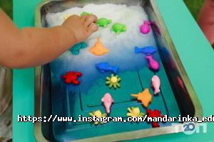 Государственные и частные детские сады Мандаринка фото