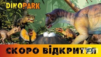 Ігрові комплекси Dinopark фото