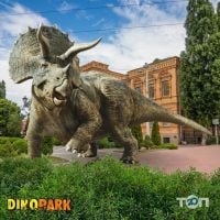 Dinopark Кропивницький фото
