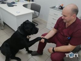 Алден-Вет, ветеринарна клініка фото