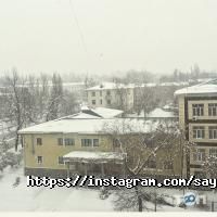 Сая отзывы фото