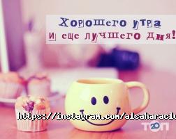 отзывы о Alsahara фото