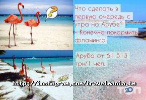 відгуки про Travel Mania фото