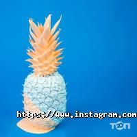 Optimizm, студія веб-дизайну фото