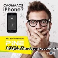 Pine Apple Дніпро фото