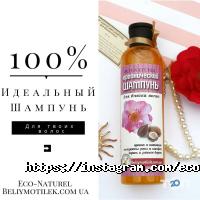 Білий метелик Київ фото