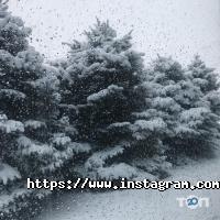 Фабрика Бізнесу відгуки фото