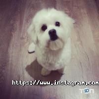 Теко, монтажная фирма фото