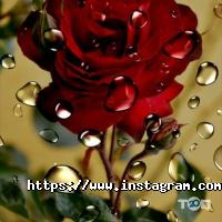 Косметологічні клініки Косметологічний кабінет фото