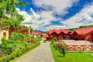 ZEBRACAMP Львів фото