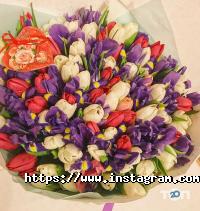 Будинок Квітів Одеса фото