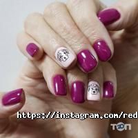 Red Fox Київ фото