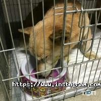 Улюбленець відгуки фото