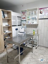 відгуки про Amigo – ветеринарна клініка фото