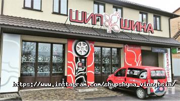 Шип Шина Винница фото