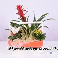 Музичні, художні школи академія мистецтв фото