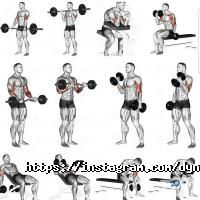 Фітнес центри Динаміка фото