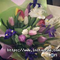 Flowers Story відгуки фото