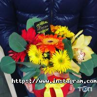 Fiorina, флористика фото