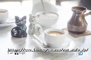 Cat Cafe відгуки фото