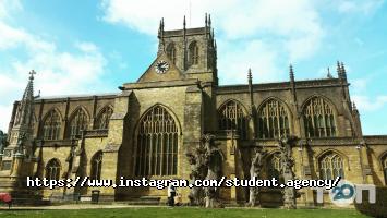 відгуки про Student Agency фото