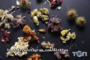 Світ трав Харків фото