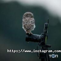 Фото, відео послуги Kino-Nik&El фото