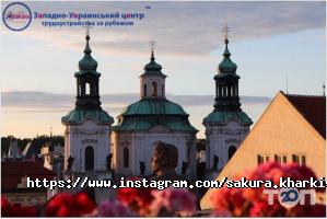 Сакура, трудоустройство за рубежом фото