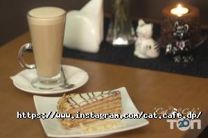 Кав'ярні та кондитерські Cat Cafe фото
