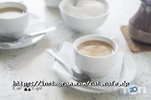 Cat Cafe отзывы фото