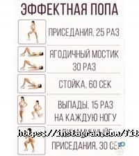 Эдельвейс Алматы фото