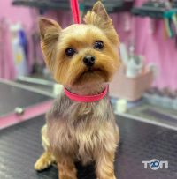 Groom Art Studio відгуки фото