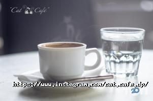 Cat Cafe відгуки фото