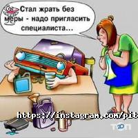 отзывы о Pit-Lane фото