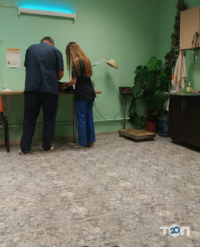 Компаньон Київ фото