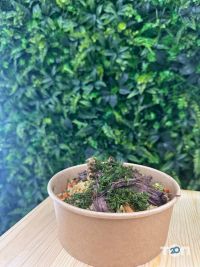 Samsa Land отзывы фото