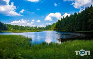 Базы отдыха Елинский лес фото
