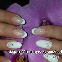 відгуки про Red Fox фото