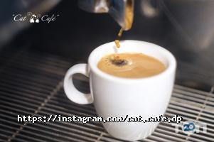 Cat Cafe Дніпро фото