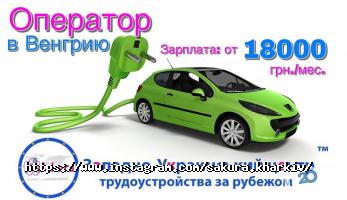 Сакура отзывы фото