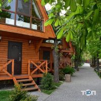 Каштан отзывы фото