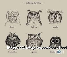 Сервіс Дніпро фото