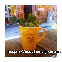 Щастя Хаб-центр відгуки фото