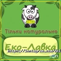 Delmar Center відгуки фото