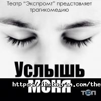 Экпромт отзывы фото