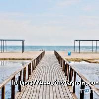 Arkadia Gold відгуки фото