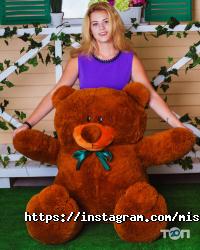 відгуки про Мишкін Будинок фото